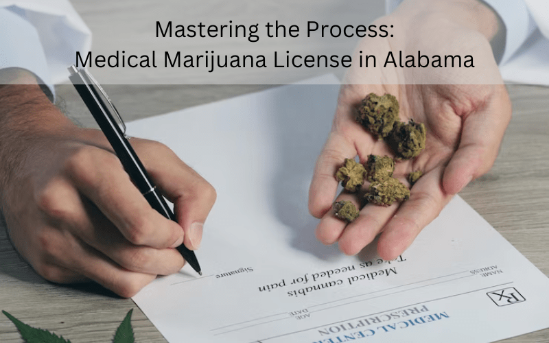 Medical marijuana license Alabama process