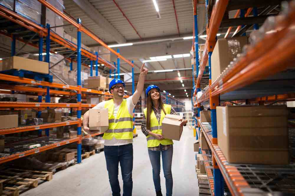 EMTS (EMT Systems) is best for warehouse design and layout